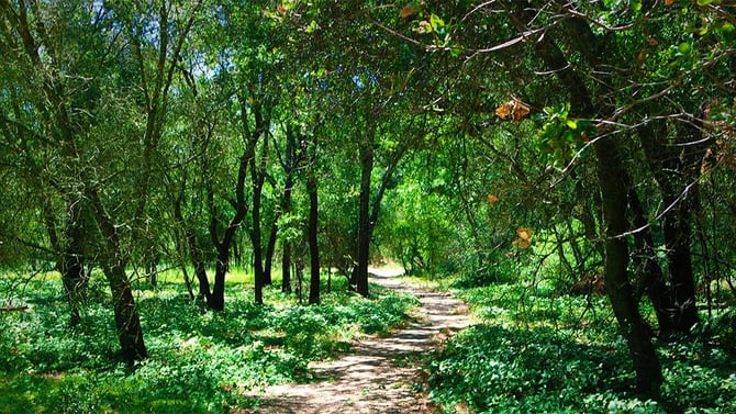 Roseville