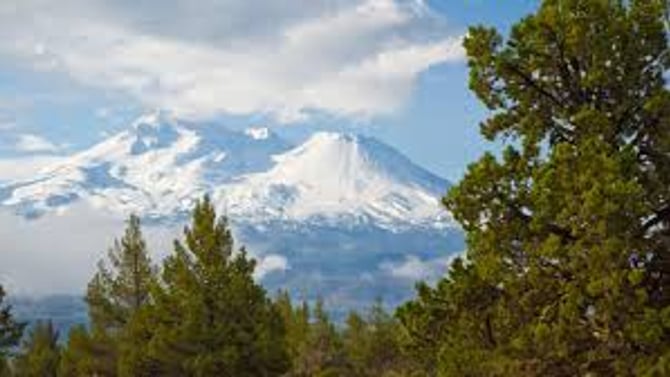 Shasta-Trinity National Forest