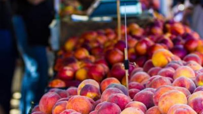 The Rocklin Farmers Market