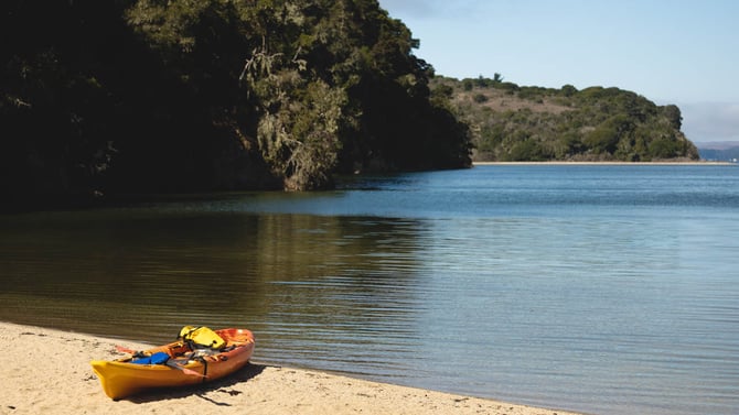 Tomales Bay State Park