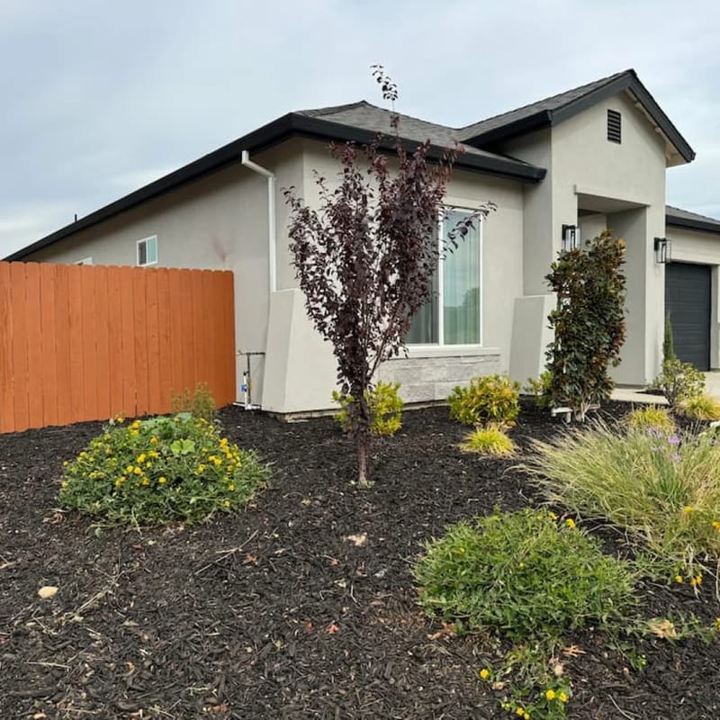 Enrique · Brand New 4BR · Single Story · Park Across the Street